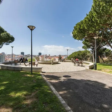 A Flamingo's Apartment Lisbon
